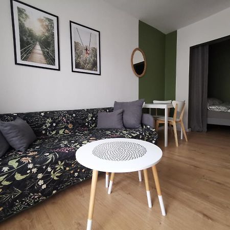 ŚwiętochłowiceApartament Skalkaアパートメント エクステリア 写真