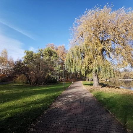 ŚwiętochłowiceApartament Skalkaアパートメント エクステリア 写真